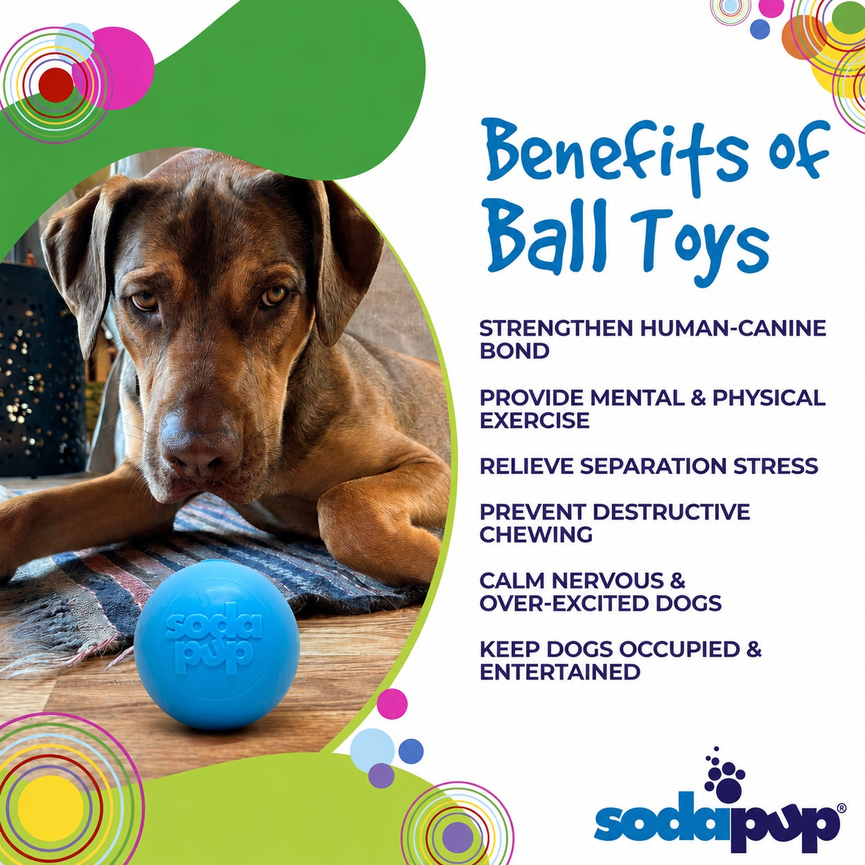 SodaPup PUP-X Squeak Ball