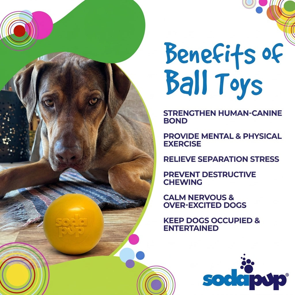 SodaPup PUP-X Squeak Ball